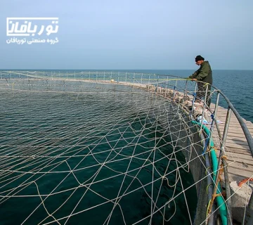 مزایای پرورش ماهی در قفس