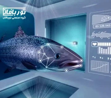 تاریخچه پرورش ماهی در قفس در ایران