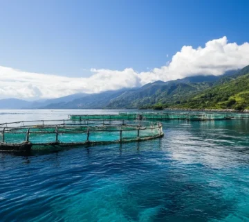 مزرعه پرورش ماهی در قفس