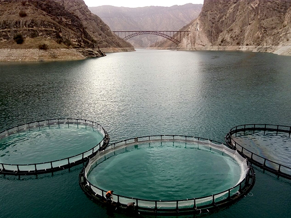 قفس پرورش ماهی در رودخانه کارون