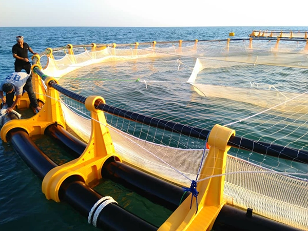 قفس پرورش ماهی در آب های خزر