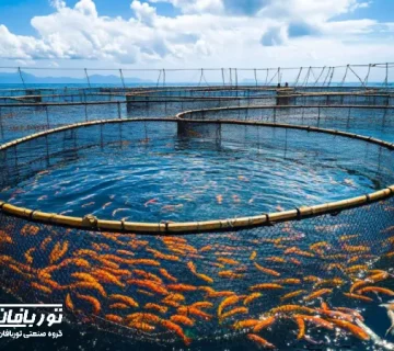 تصویری از قفس پرورش ماهی با تجهیزات مدرن، توری ضدجلبک و طراحی مطابق استانداردهای بین‌المللی