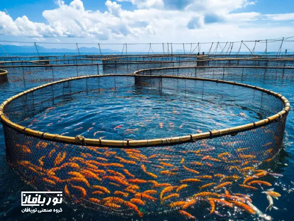 تصویری از قفس پرورش ماهی با تجهیزات مدرن، توری ضدجلبک و طراحی مطابق استانداردهای بین‌المللی