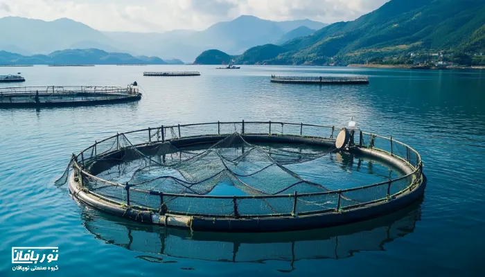 تصویری از قفس پرورش ماهی با تجهیزات مدرن