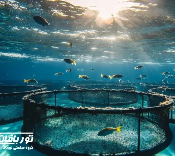 نمای زیرآبی از قفس گرد پرورش ماهی با جریان آب تمیز و ماهی‌های سالم