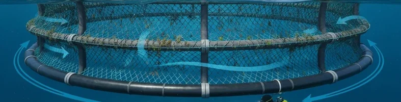 طراحی لایه تور حفاظتی قفس پرورش ماهی با فاصله گذاری مناسب برای حفظ گردش آب، کاهش فولینگ و کنترل بار هیدرودینامیکی